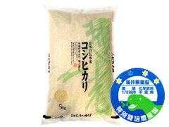 特別栽培コシヒカリ