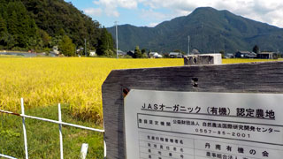 高山農園の事業内容