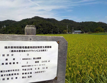 お米の安全性
