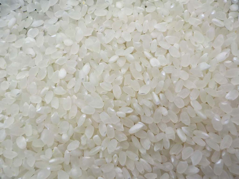 超低農薬　コシヒカリ　20kg コシヒカリ 20kg 超低農薬